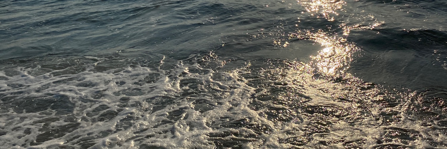 SamValdezR's profile banner image