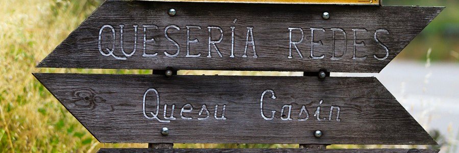Queso Casin banner