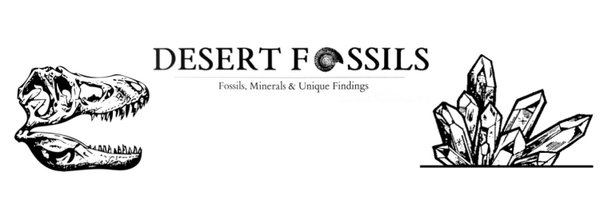 desertfossils Profile Banner