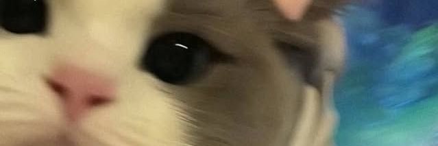 dontseanme's profile banner image