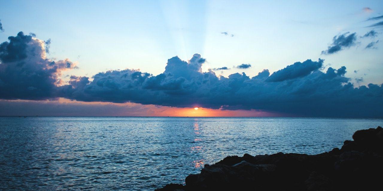 Carolinee_Lee's profile banner image