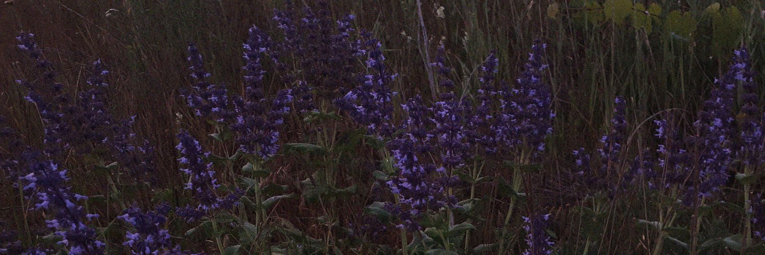 🩵Комок из Невротика🩵 banner