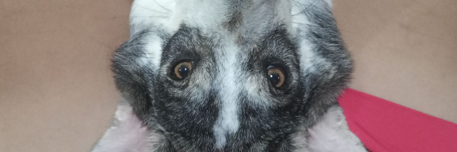 matchakitkattt's profile banner image