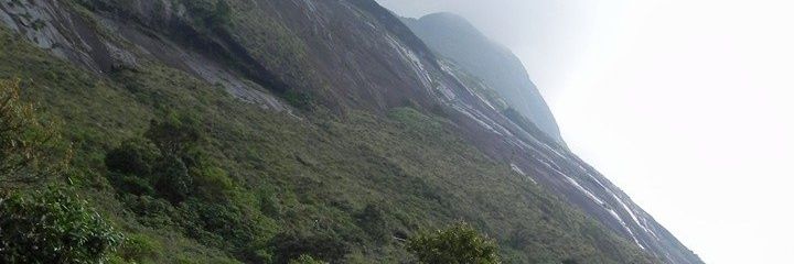 Puja_Jessy's profile banner image