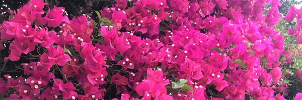 HollyGEdits Profile Banner