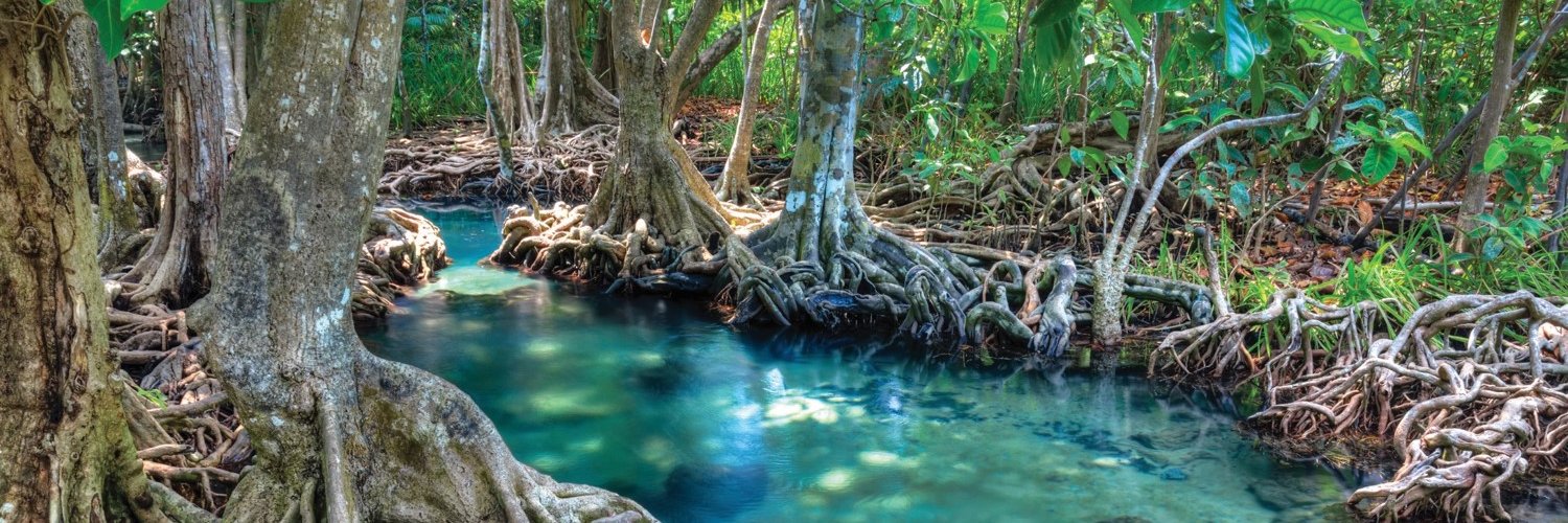 The International Partnership for Blue Carbon banner