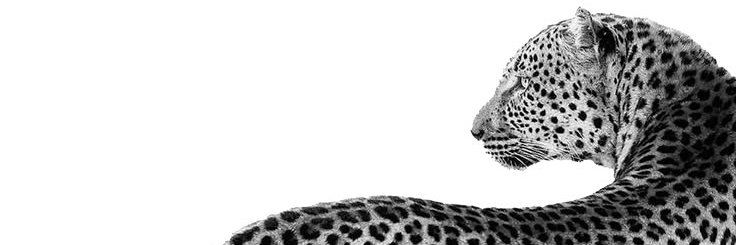 lannaduh's profile banner image