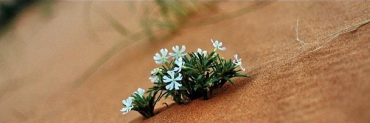 خالد الخيف banner