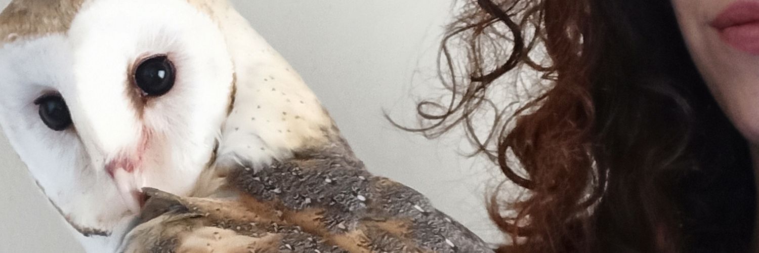 raquelcioffi's profile banner image