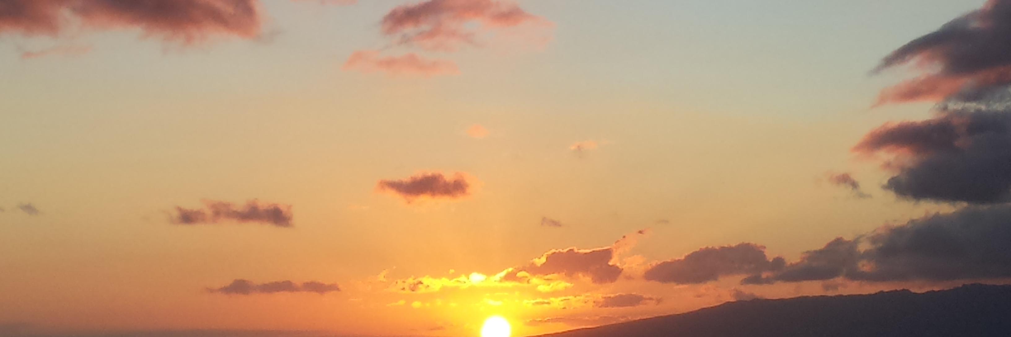 FriedewaldJul's profile banner image