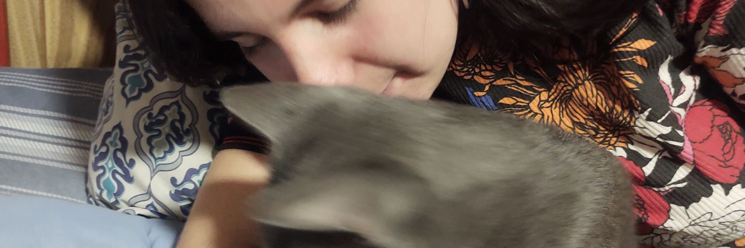 saluor's profile banner image
