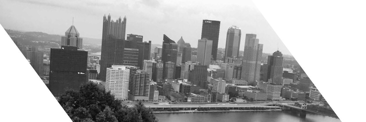 Reggie Mitchell banner