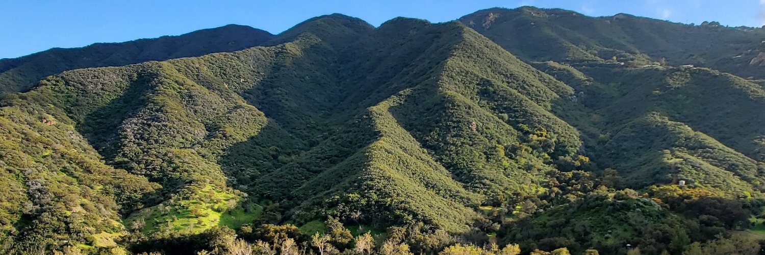QuailViewRanch's profile banner image