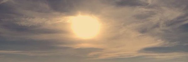 karianeelson Profile Banner