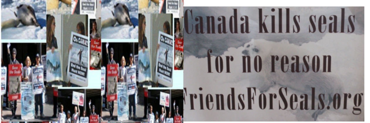 FriendsForSealsOrg Ⓥ banner