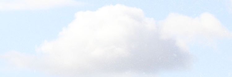 ᥴhomρoo ♡ banner