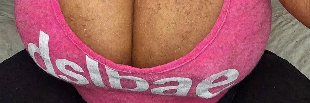 dslbae