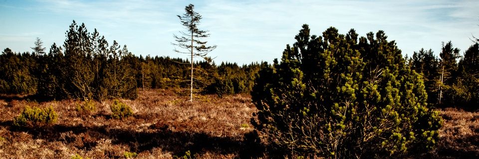Helenasotis's profile banner image