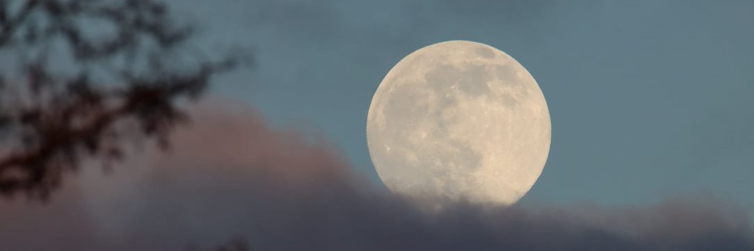 LaxKaj's profile banner image