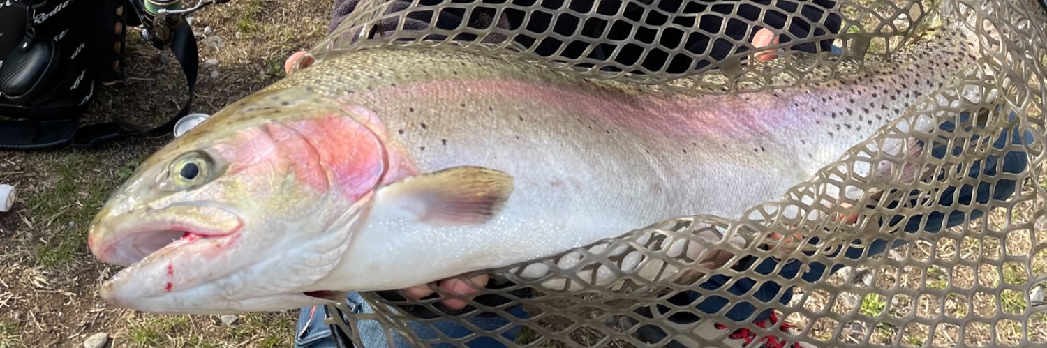 ama_taka（あまたか） banner