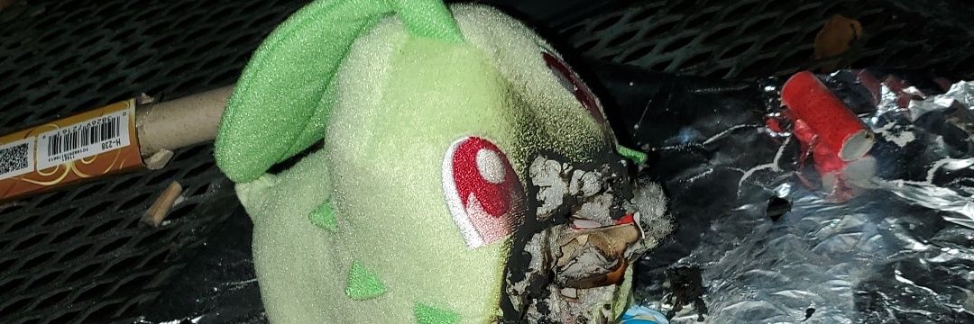 Bubbleguts565 banner