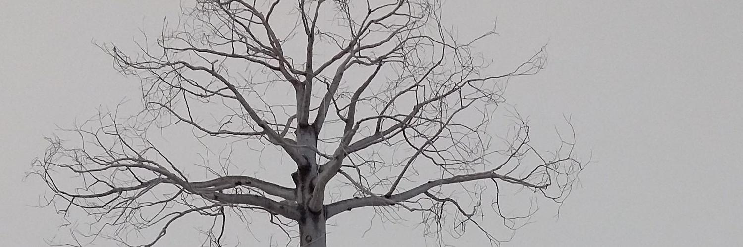 Alien Scum banner