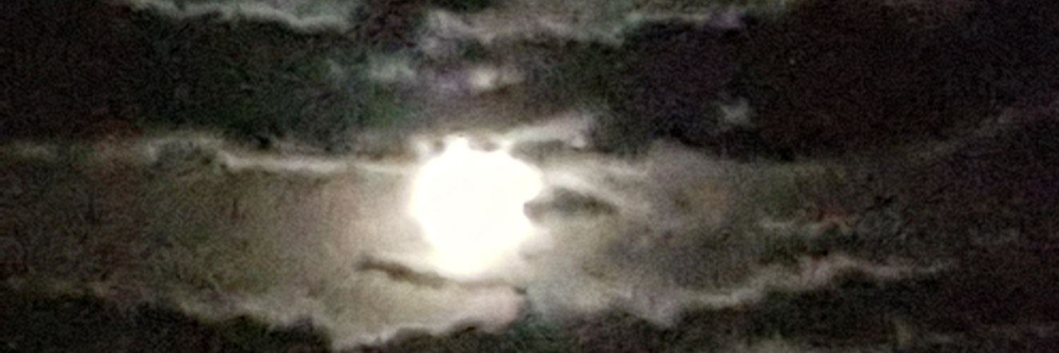 picoprotrone's profile banner image