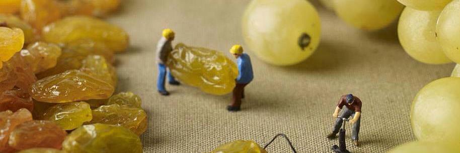 Laura Bernaulte banner