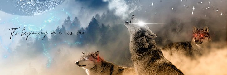 gotEM Network banner