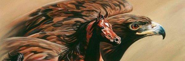er_can77's profile banner image