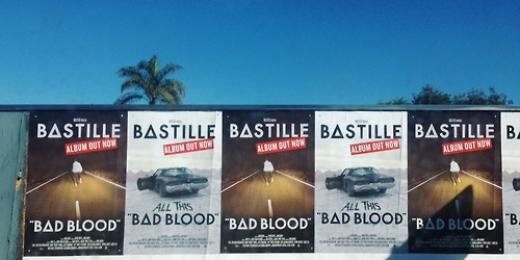 WILD WORLD OUT NOW banner