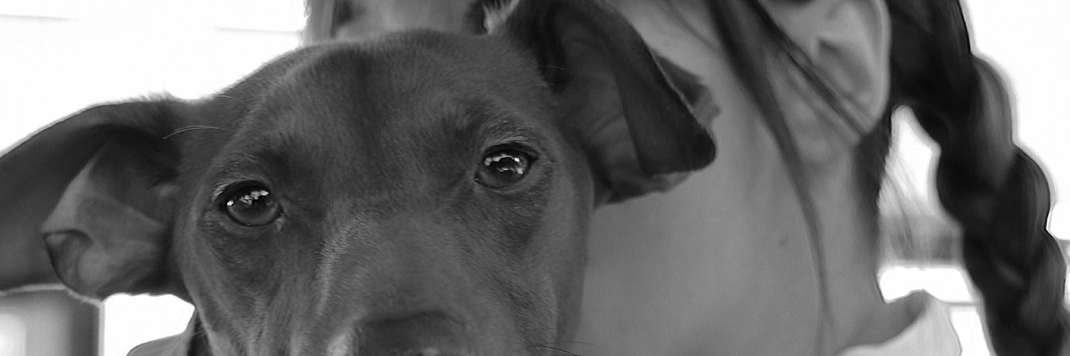 maariabernardo's profile banner image