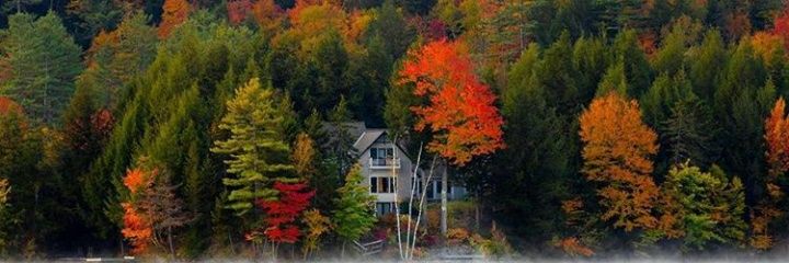 Ayodheji🇳🇬🚦 banner