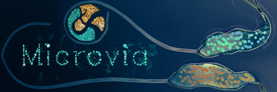 microvia's profile banner image