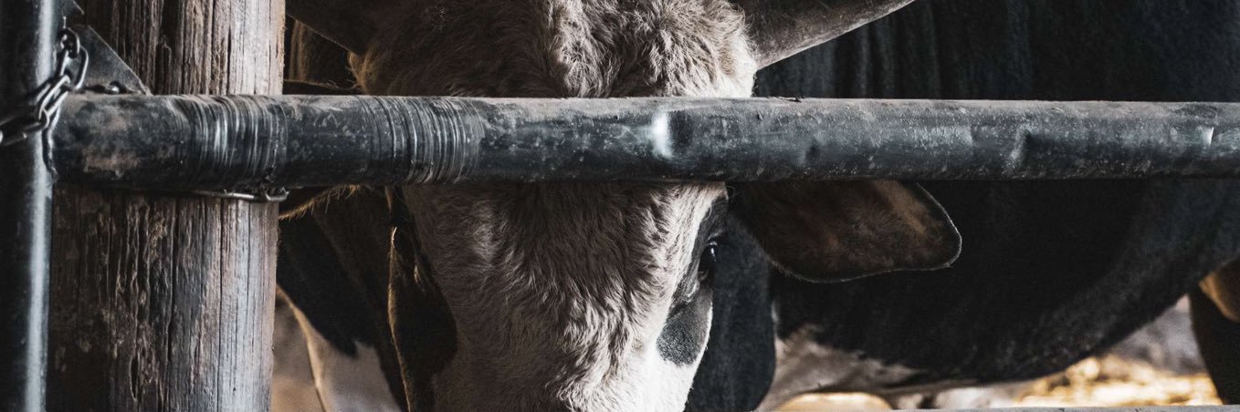 MiddleWayne's profile banner image