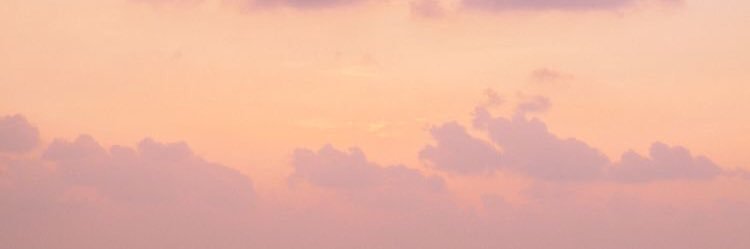 n (mt after dm)'s banner