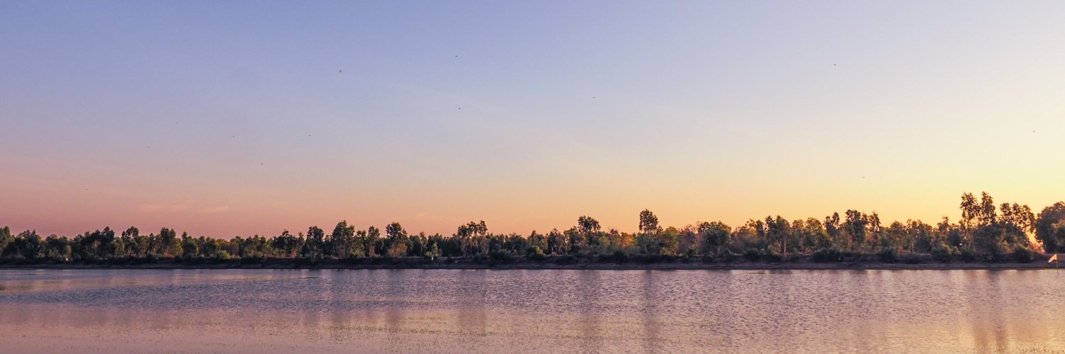 romaneroses's profile banner image