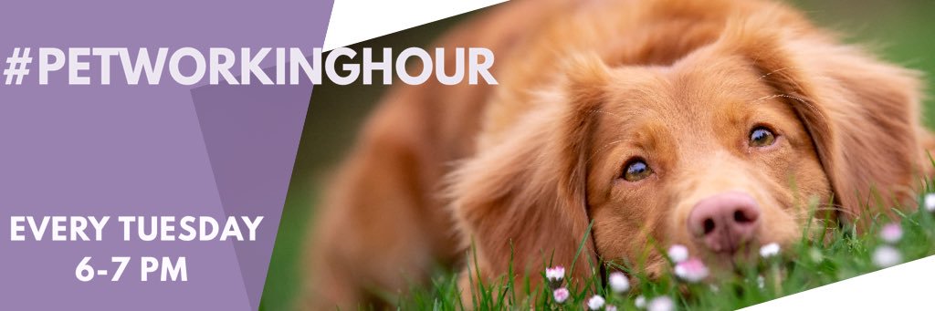 PetworkingHour banner