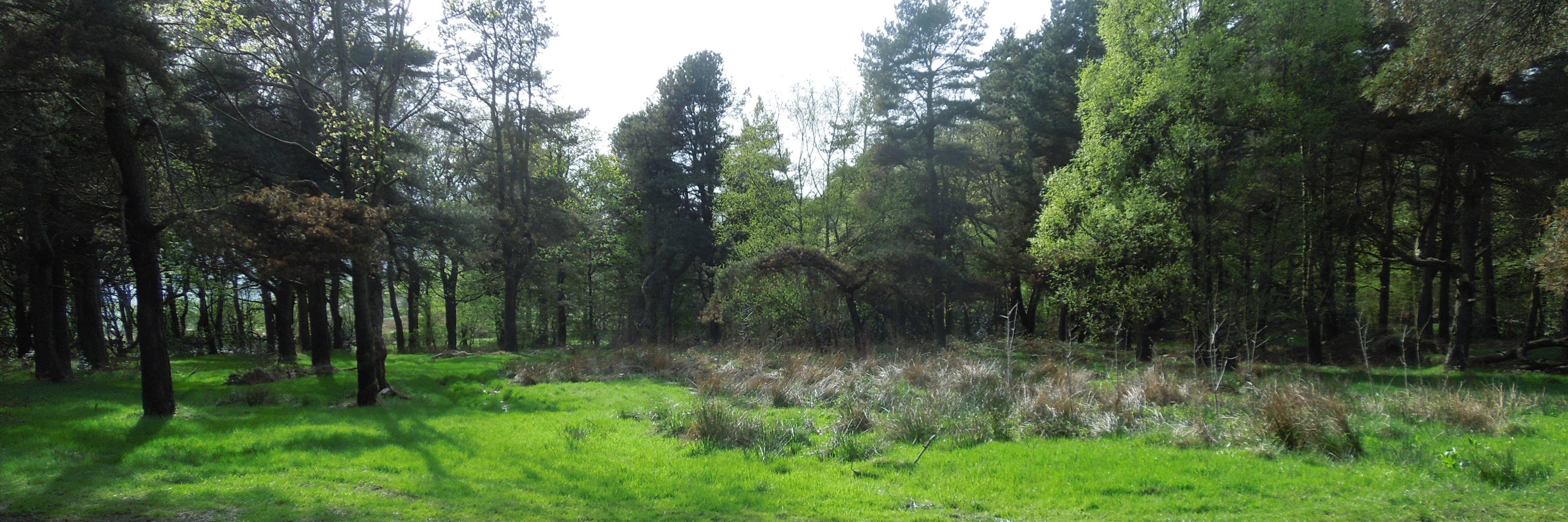 CalderCountry banner