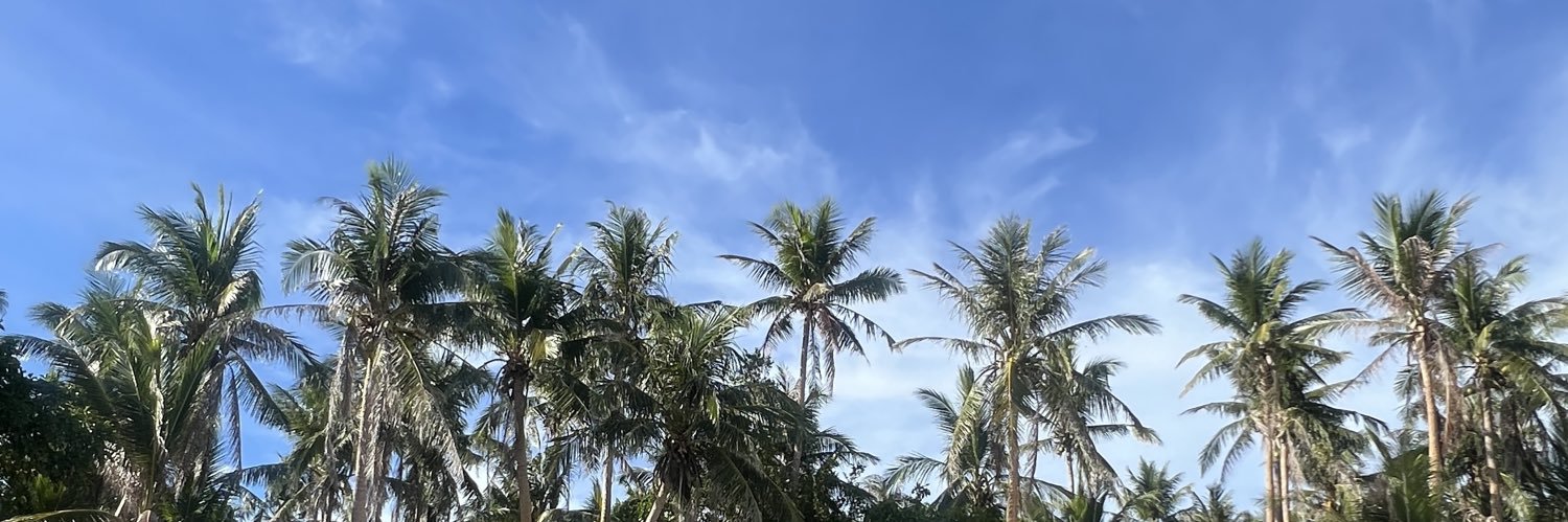 smlhueman's profile banner image
