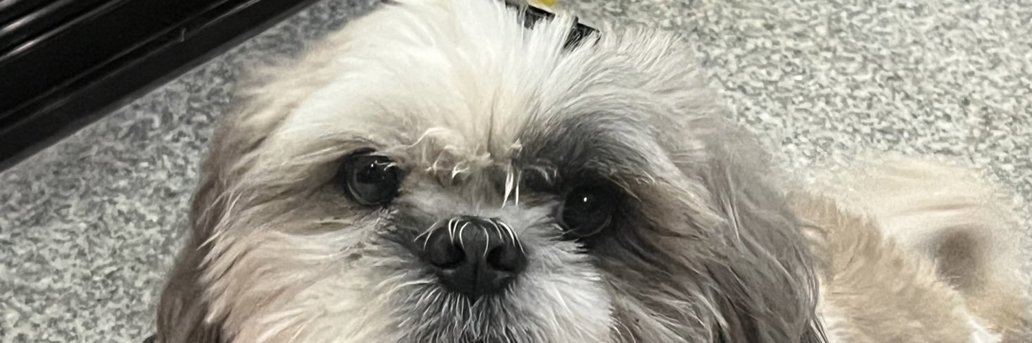 aimnuggets's profile banner image