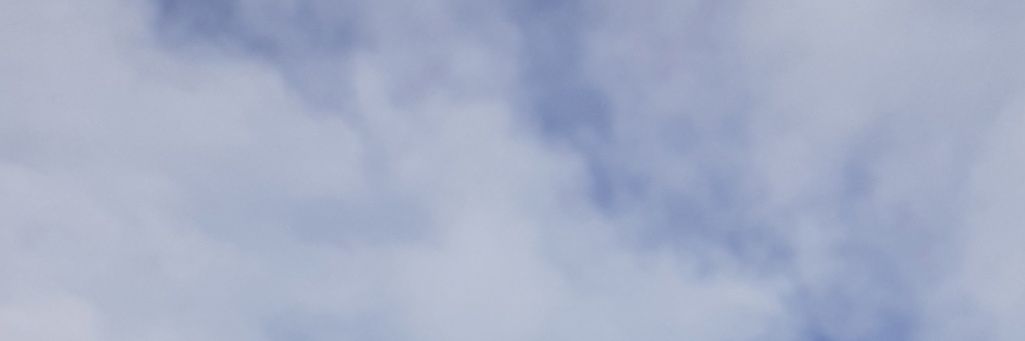 Vanessa 😌 banner