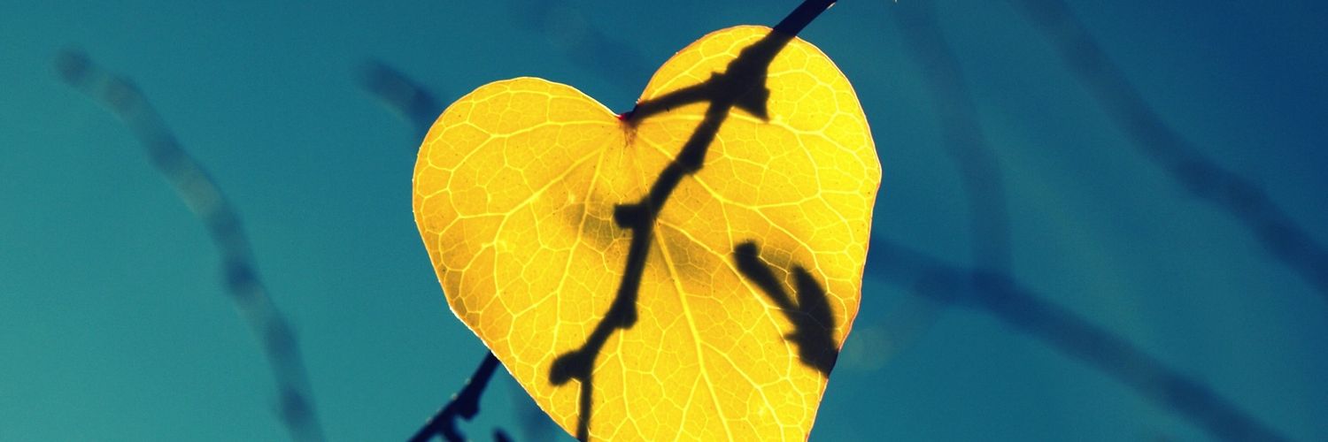 admasone's profile banner image