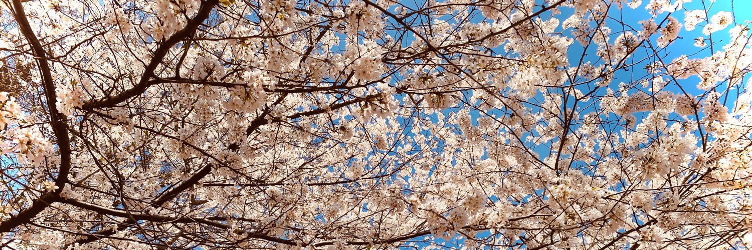 desweetener's profile banner image