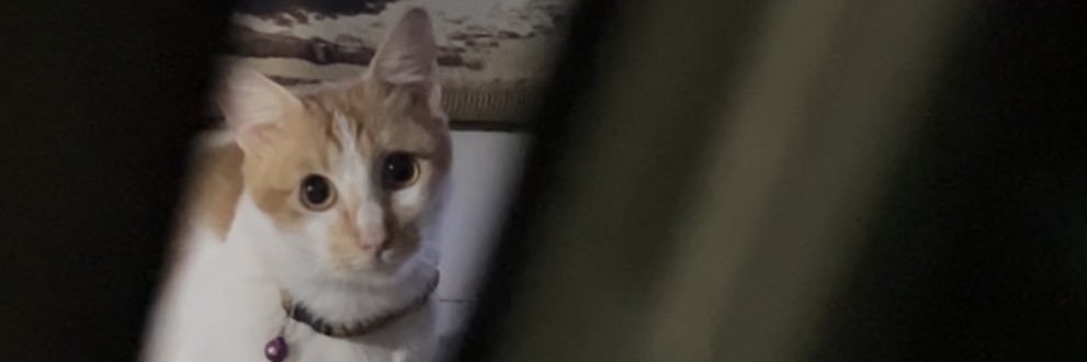 Nugo and his thoughts banner