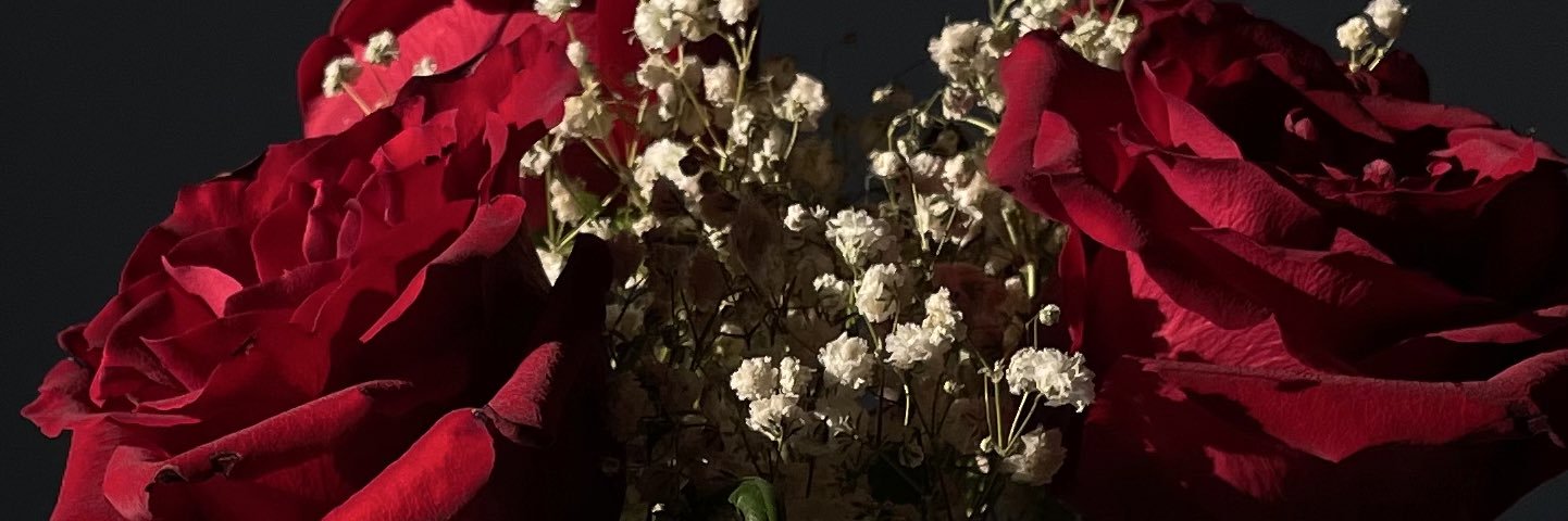 r99ei's profile banner image