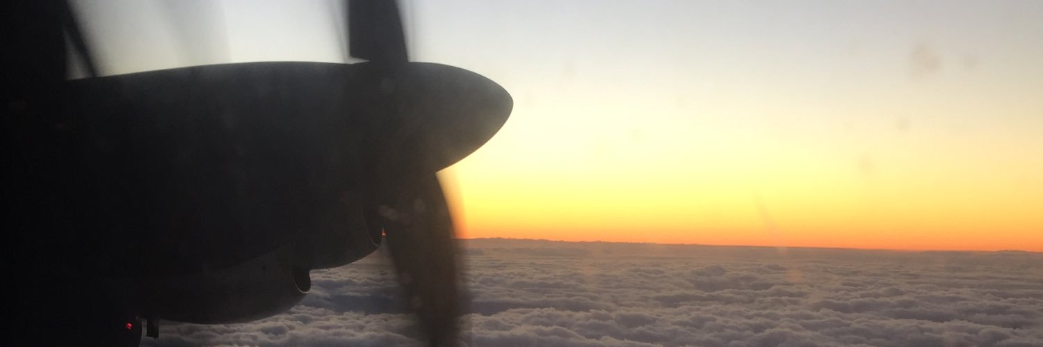 Navigating the Noise banner