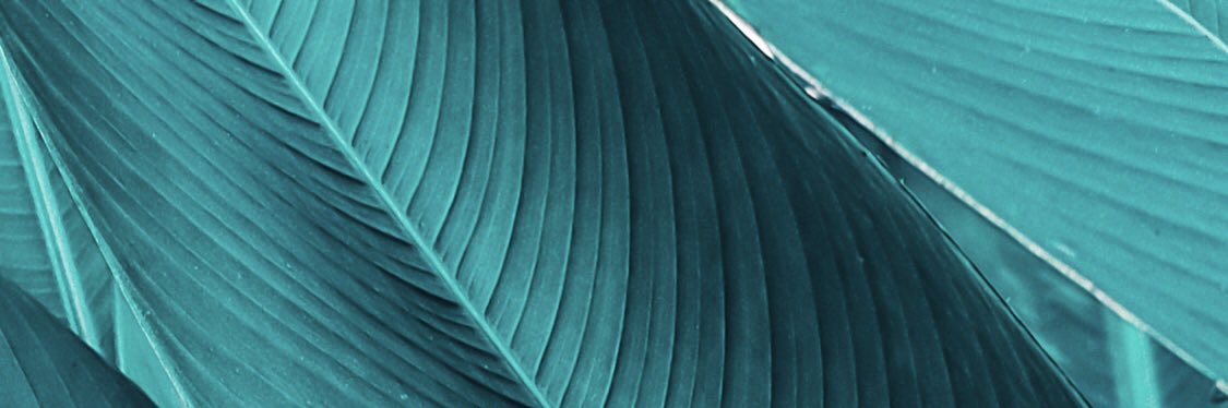 Mocchi_ONE's profile banner image