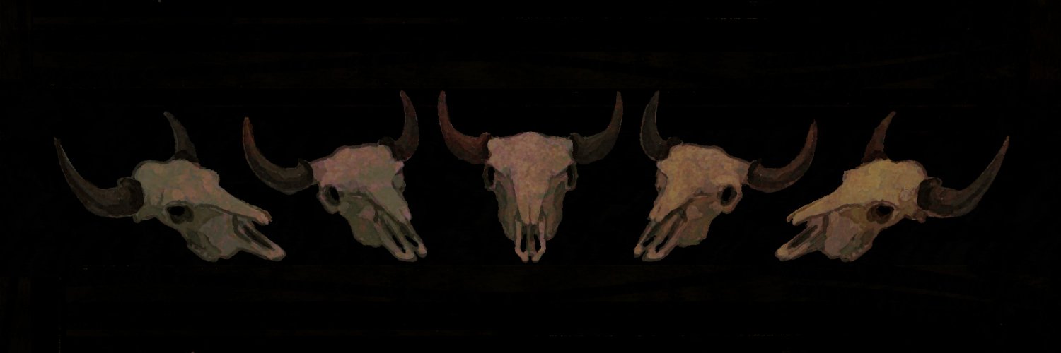 sanzuniur (open for work)'s banner