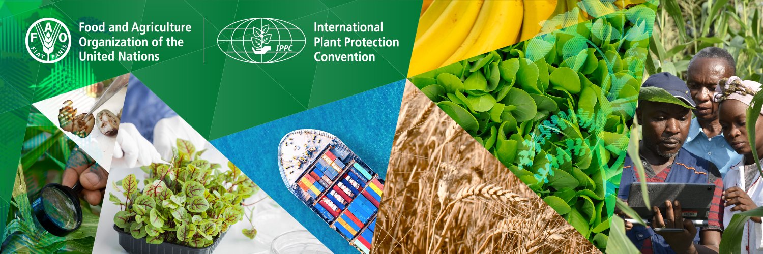 ippcnews's profile banner image